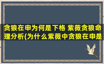 贪狼在申为何是下格 紫薇贪狼命理分析(为什么紫薇中贪狼在申是下格？命理分析揭示谜底！)